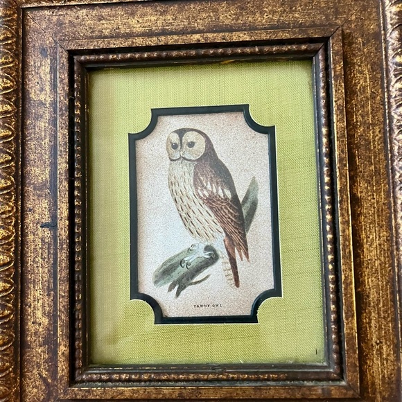Vintage Gold Framed Owl Art for Bird Lovers - Picture 4 of 10